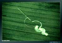 crop circles