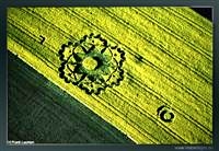 crop circles