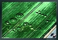 crop circles