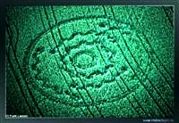 crop circles