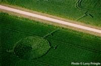 crop circles