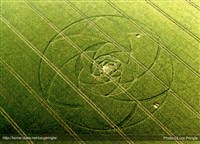 crop circles