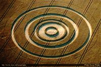 crop circles