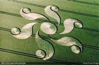 crop circles